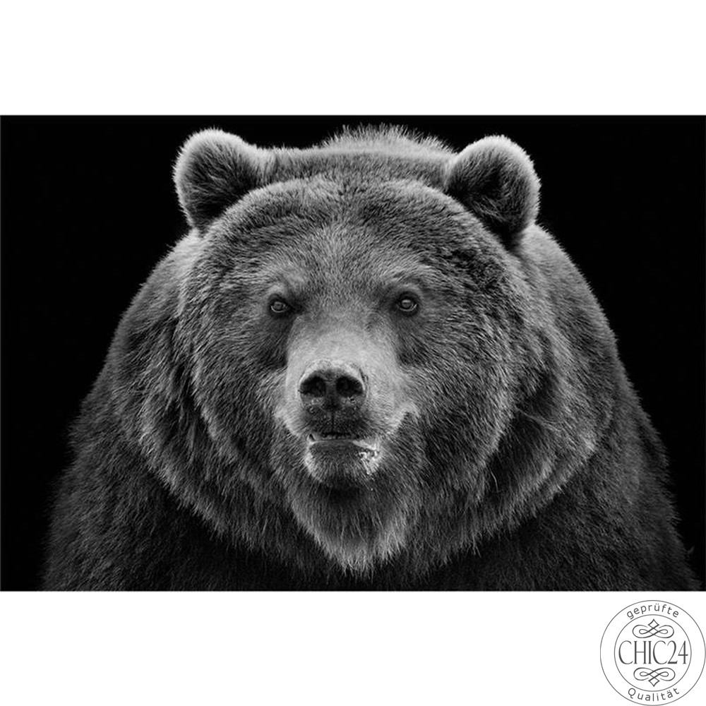 Raumbilder Tapeten Angry Bear