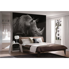 Raumbilder Tapeten Rhino