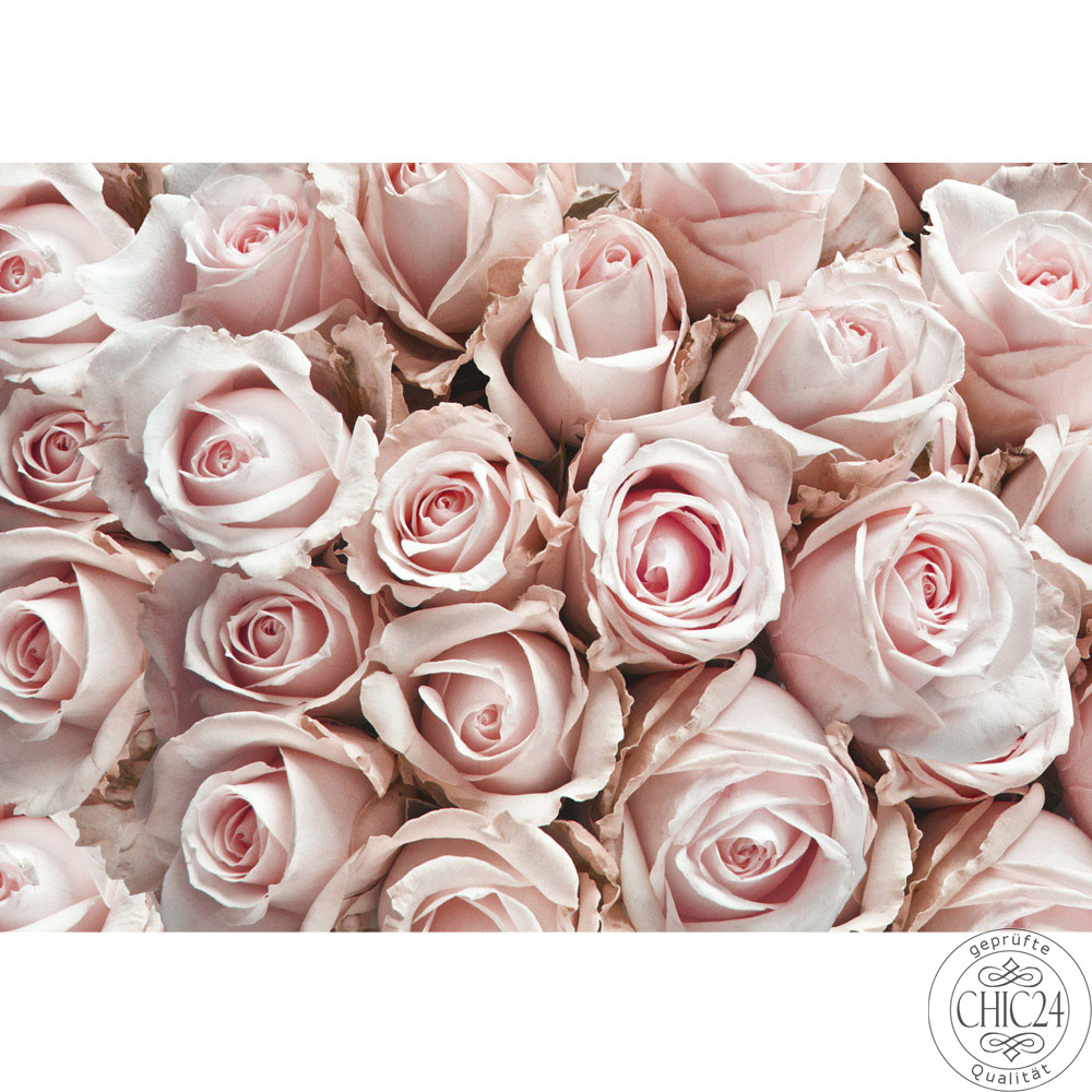 Vlies Fototapete no. 189 | Blumen Tapete Blumen Rose Blten Natur Liebe Love Blte Wei rosa