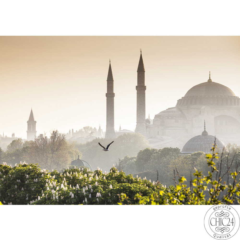 Fototapete Istanbul Trkei Moschee Natur Nebel no. 250