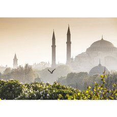 Fototapete Istanbul Trkei Moschee Natur Nebel no. 250