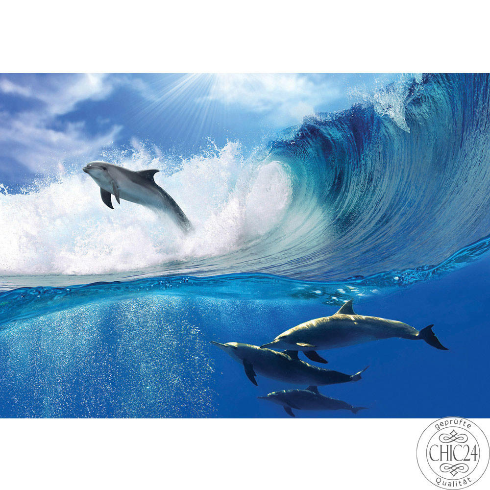 Fototapete Delfin Meer Welle Tropfen Sonne Wasser no. 531