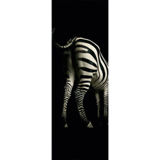 Fototapete Zebra 280x100cm