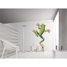 Raumbilder Tapeten Frog