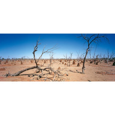 Raumbilder Tapeten Outback