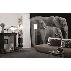 Raumbilder Tapeten Three Elephants