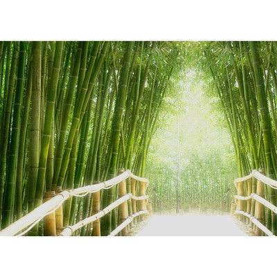 Vlies Fototapete no. 2 | Bamboo Walk Wald Tapete...