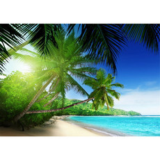 Vlies Fototapete no. 5 | Paradise Beach Strand Tapete Strand Meer Palmen Beach 3D Ozean Palme blau