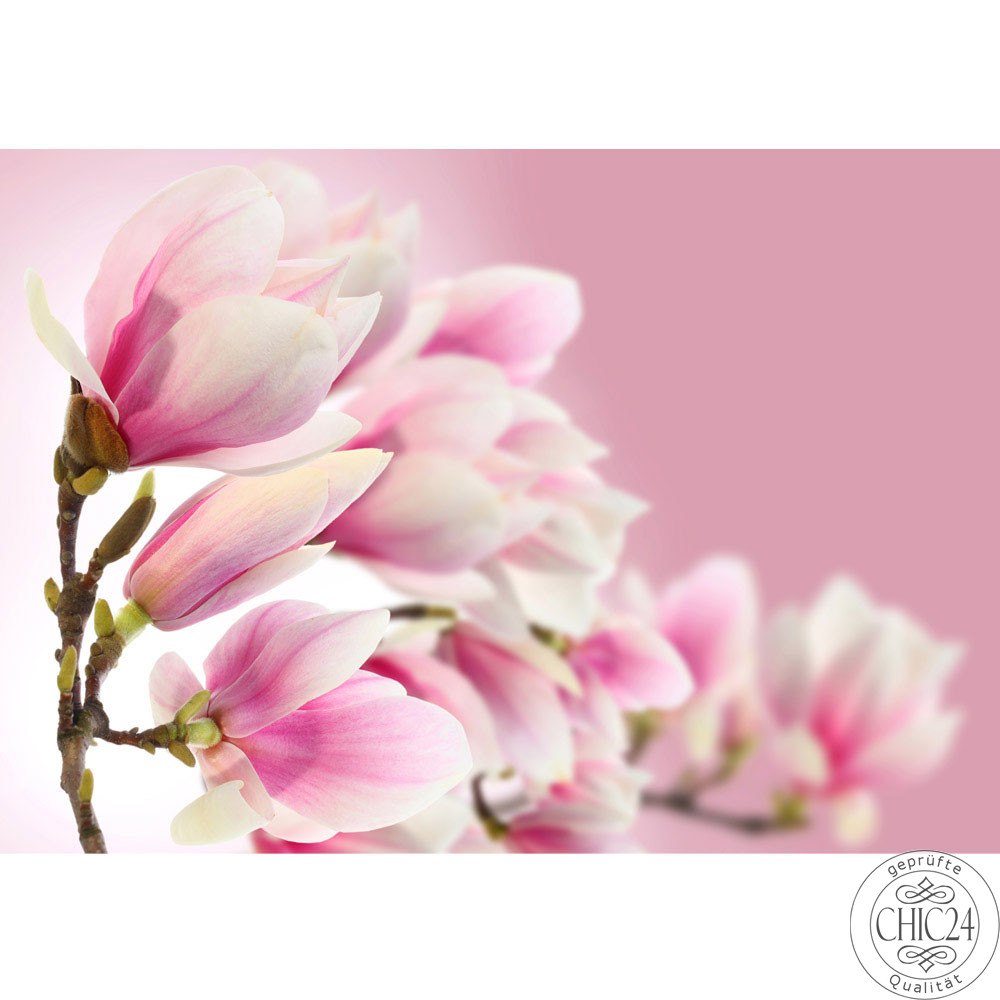 Vlies Fototapete no. 14 | Pink Magnolia Blumen Tapete Magnolie Blumenranke Pflanzen Natur Orchidee Blume rosa pink