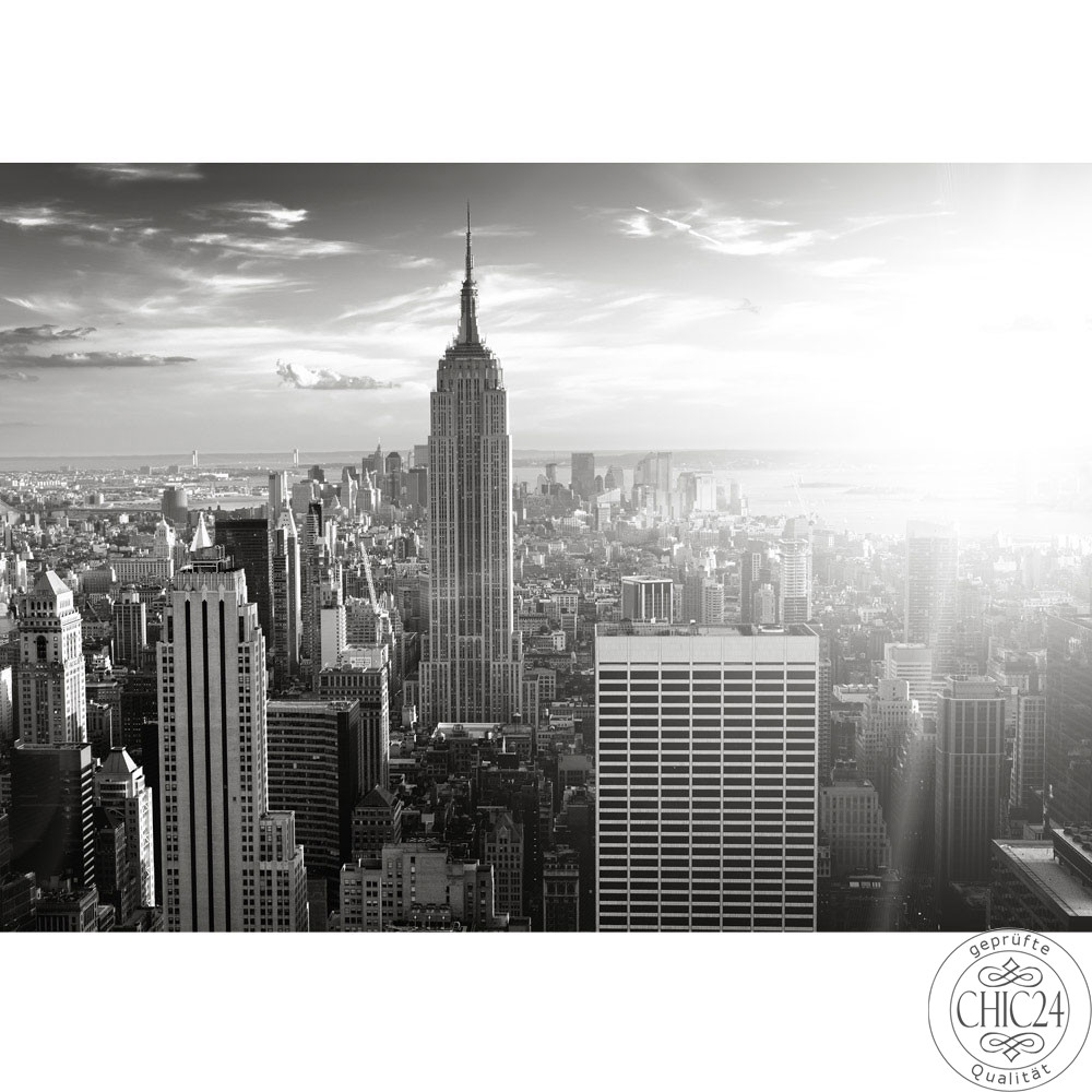 Vlies Fototapete No 15 Manhattan Skyline Usa Tapete New York
