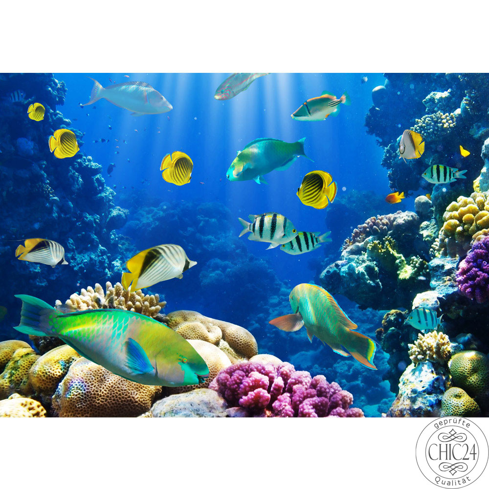 Fototapete Aquarium Unterwasser Meereswelt Meer Fische Riff Korallenrif no. 33