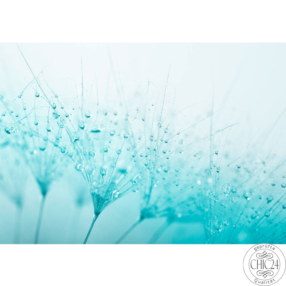 Vlies Fototapete no. 39 | Turquoise Dandelion Blumen Tapete Pusteblume Lwenzahn Blau trkis