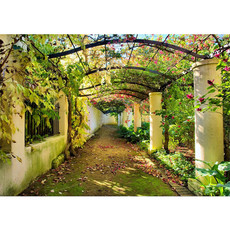 Vlies Fototapete no. 47 | Way in my GardenBlumen Tapete Garten Terrasse Blumenranken Blume 3D Perspektive grn
