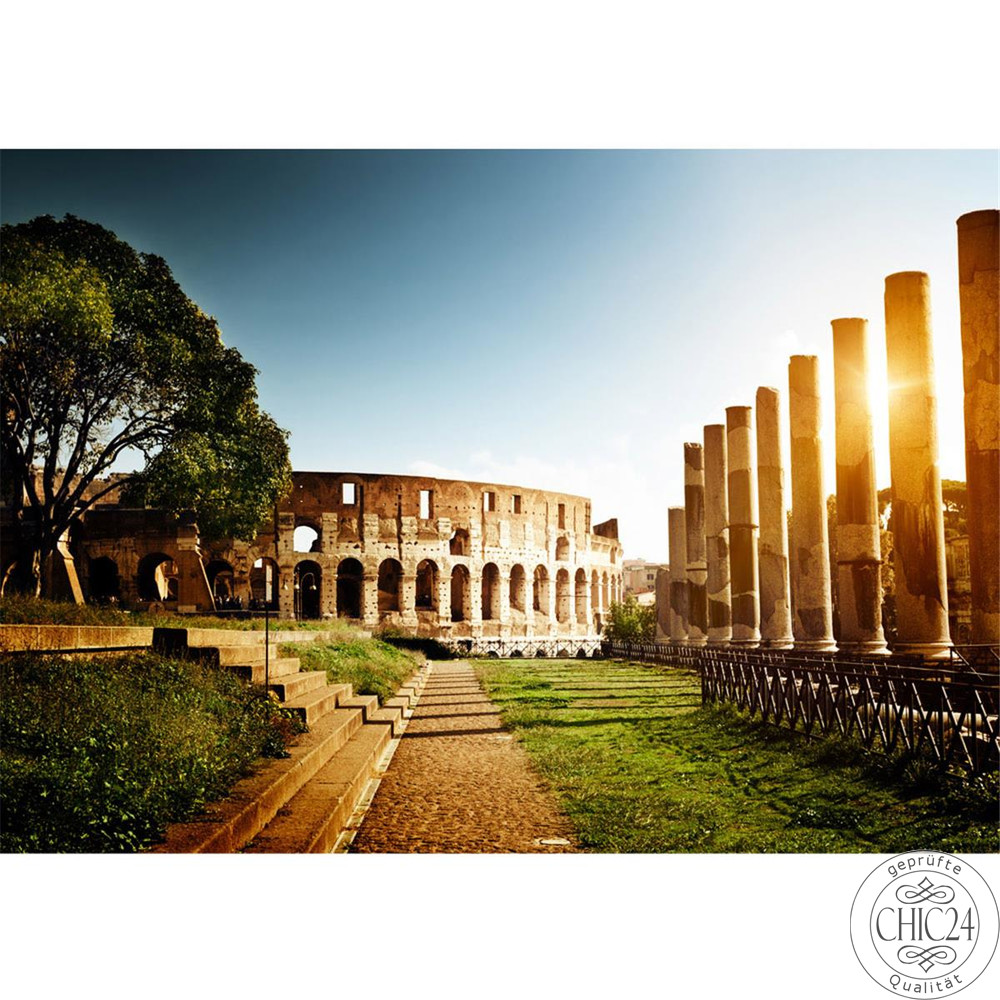 Fototapete Rom Kolosseum Italien Landschaft Architektur no. 52