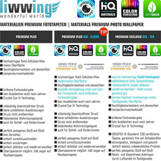 Vlies Fototapete no. 70 | Dream of Poppies Blumen Tapete Romantik Mohn Feld Blumen Gras grn