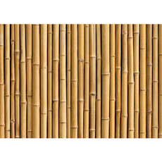 Vlies Fototapete no. 83 | Golden Bamboo Bambus Tapete gold gelb Wald Bambuswald Dschungel Garten Natur Bume beige