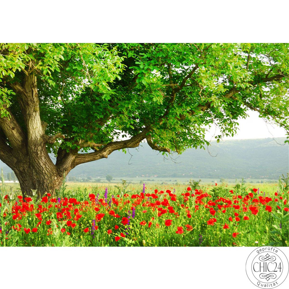 Vlies Fototapete no. 90 | A Beautiful TreeNatur Tapete Natur Mohn Feld Baum Wald Bume rot grn Idyll grn