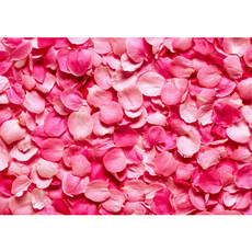 Fototapete Blüten Liebe Love Rot Natur  no. 188