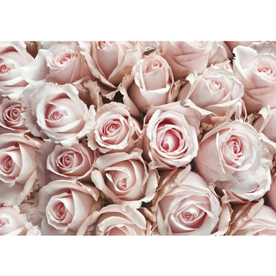 Vlies Fototapete no. 189 | Blumen Tapete Blumen Rose...
