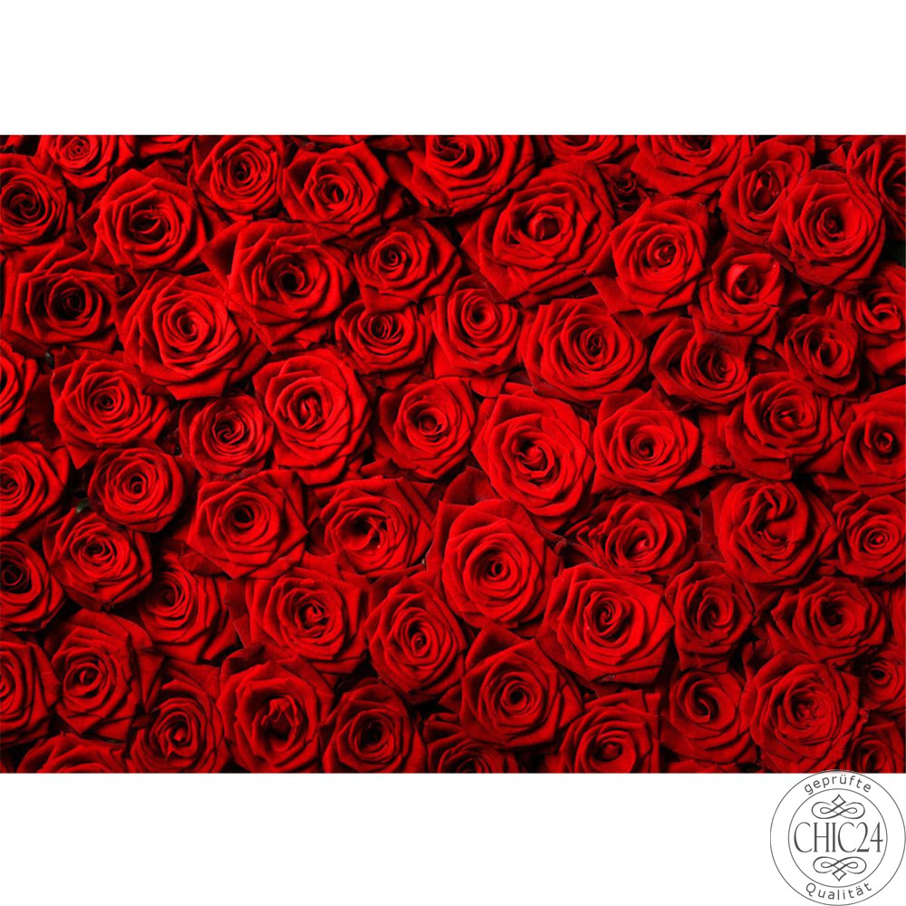 Vlies Fototapete no. 190 | Blumen Tapete Blumen Rose Blten Natur Liebe Love Blte Rot rosa