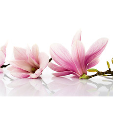 Vlies Fototapete no. 202 | Berge Tapete Orchidee Blumen Blumenranke Rosa Natur Pflanzen Abstrakt beige