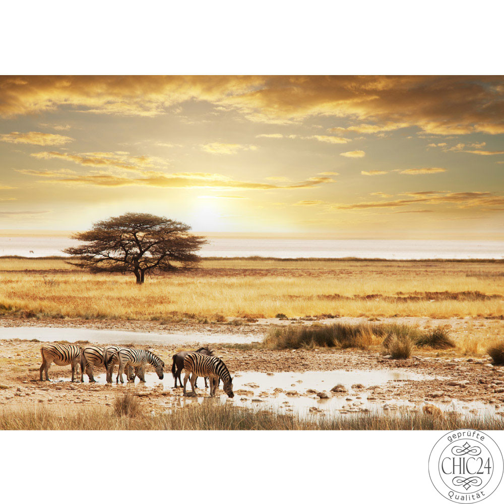 Vlies Fototapete no. 236 | Tiere Tapete Wste Tiere Zebras Sonnenaufgang Natur beige