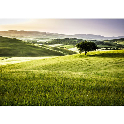 Vlies Fototapete no. 243 | Landschaft Tapete Feld Natur...