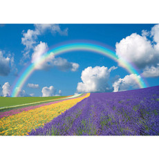 Vlies Fototapete no. 273 | Himmel Tapete Regenbogen Blumen bunt