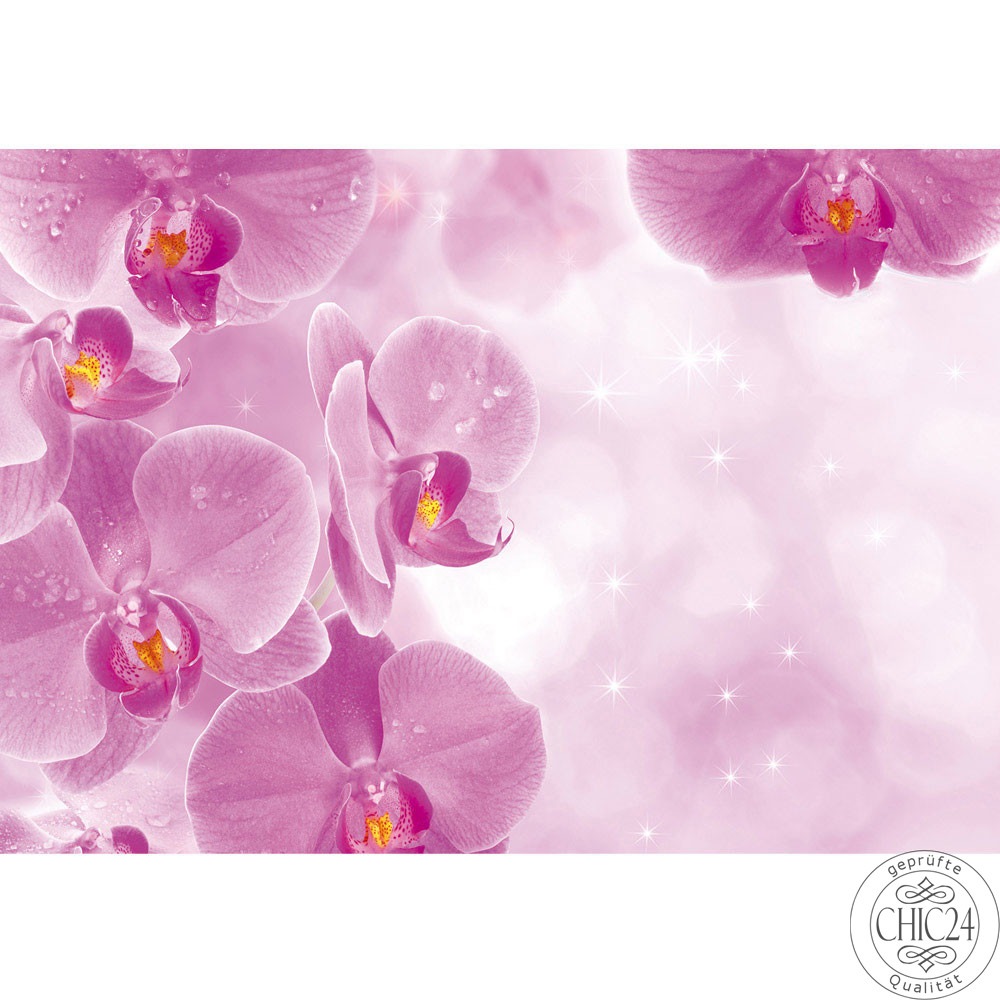 Vlies Fototapete no. 407 | Orchideen Tapete Orchidee Tropfen Rosa Wellness lila lila
