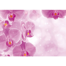 Vlies Fototapete no. 407 | Orchideen Tapete Orchidee Tropfen Rosa Wellness lila lila