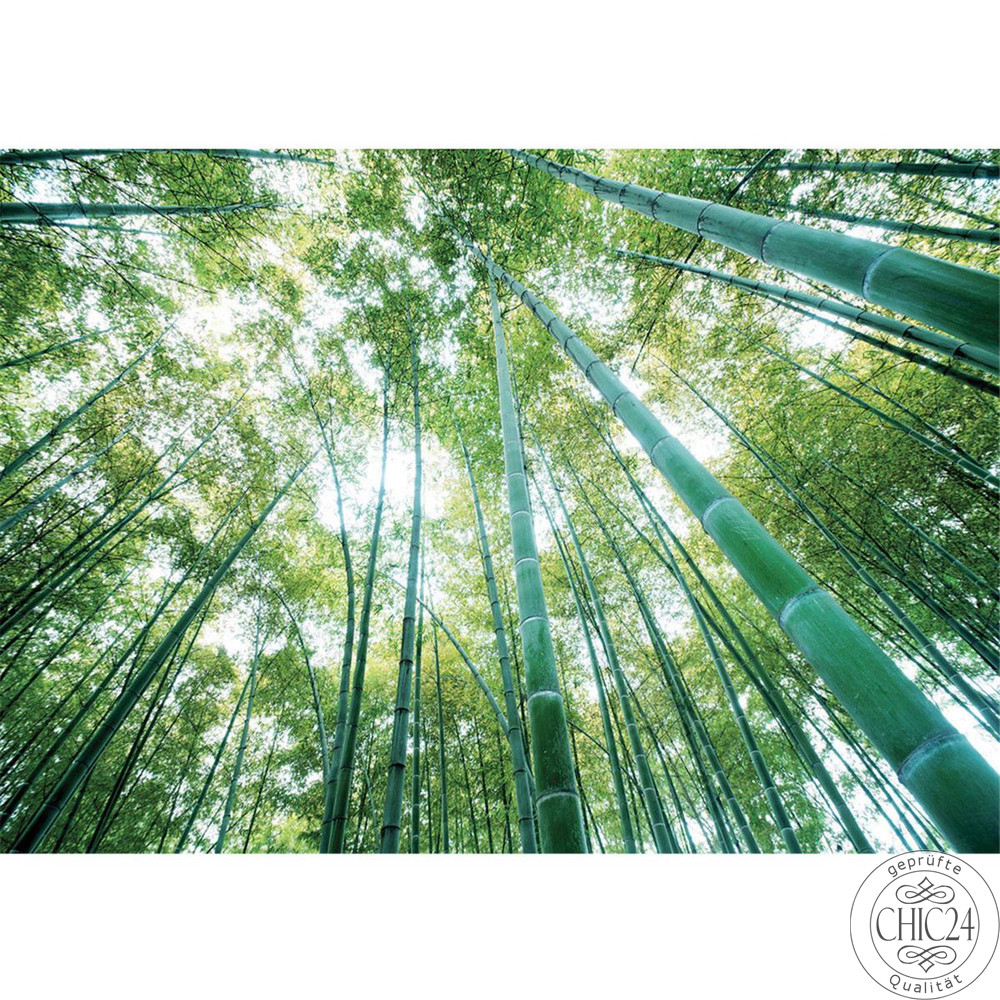 Vlies Fototapete no. 410 | Wald Tapete Wald Bume Himmel Bambus Natur grn grn