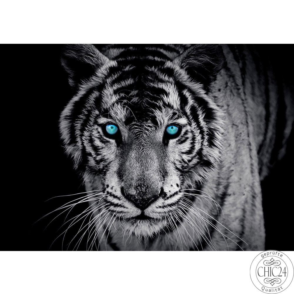 Vlies Fototapete no. 426 | Tiere Tapete Tiger Gesicht Auge blau schwarz-wei blau