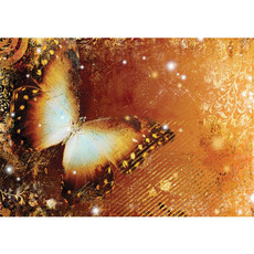 Vlies Fototapete no. 460 | Kunst Tapete Ornamente Schmetterling orange