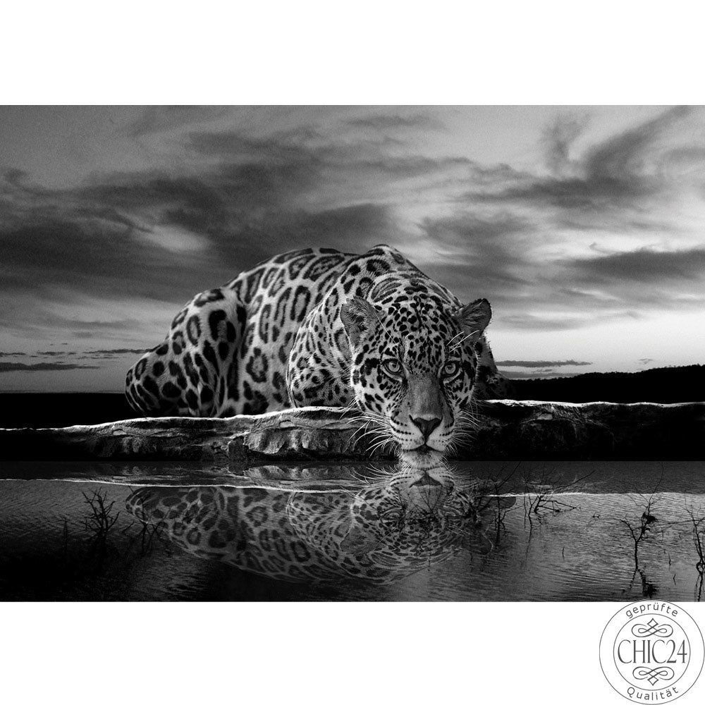 Fototapete Jaguar Sonnenuntergang Himmel Wasser no. 614
