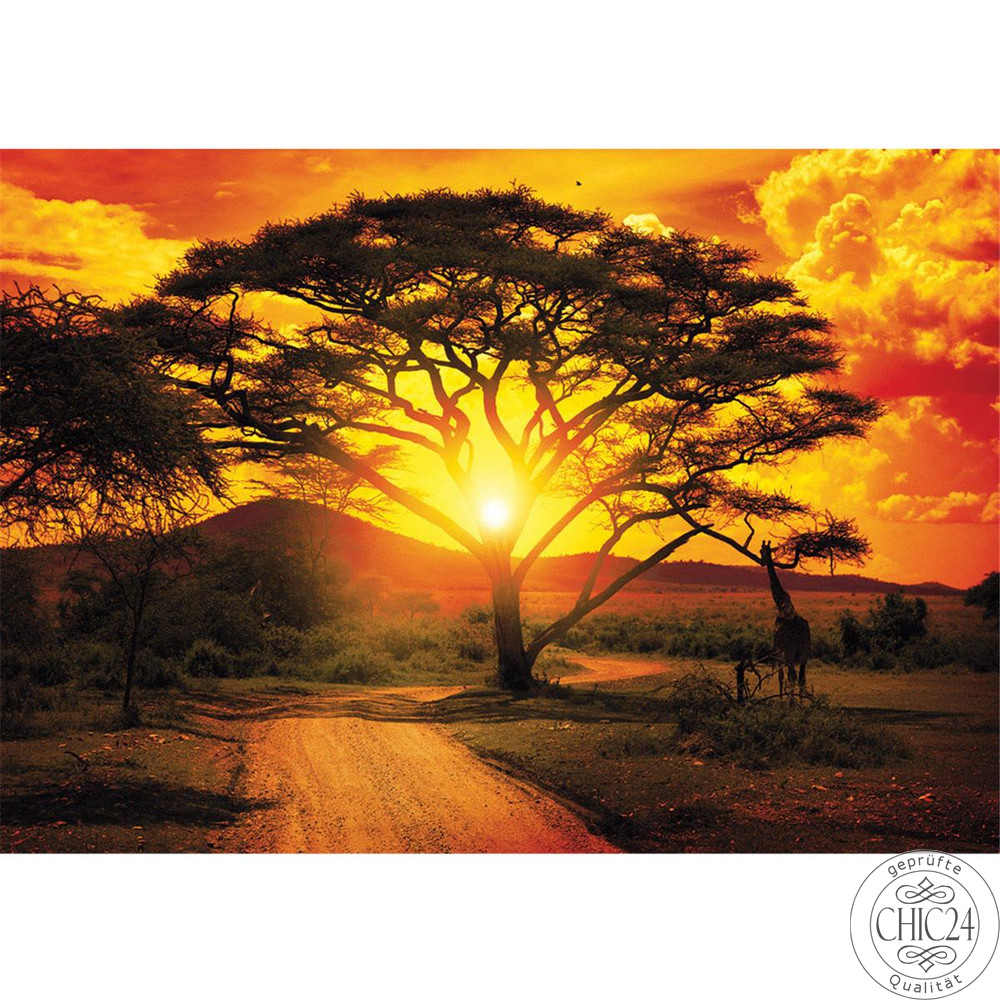 Fototapete Sonnenuntergang Baum Giraffe Savanne Himmel Afrika no. 999
