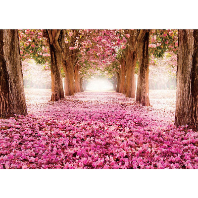 Vlies Fototapete no. 1572 | Natur Tapete Allee B�ume...