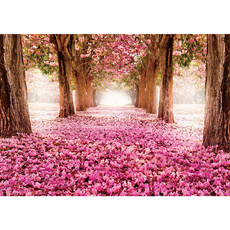 Vlies Fototapete no. 1572 | Natur Tapete Allee Bume Blten rosa