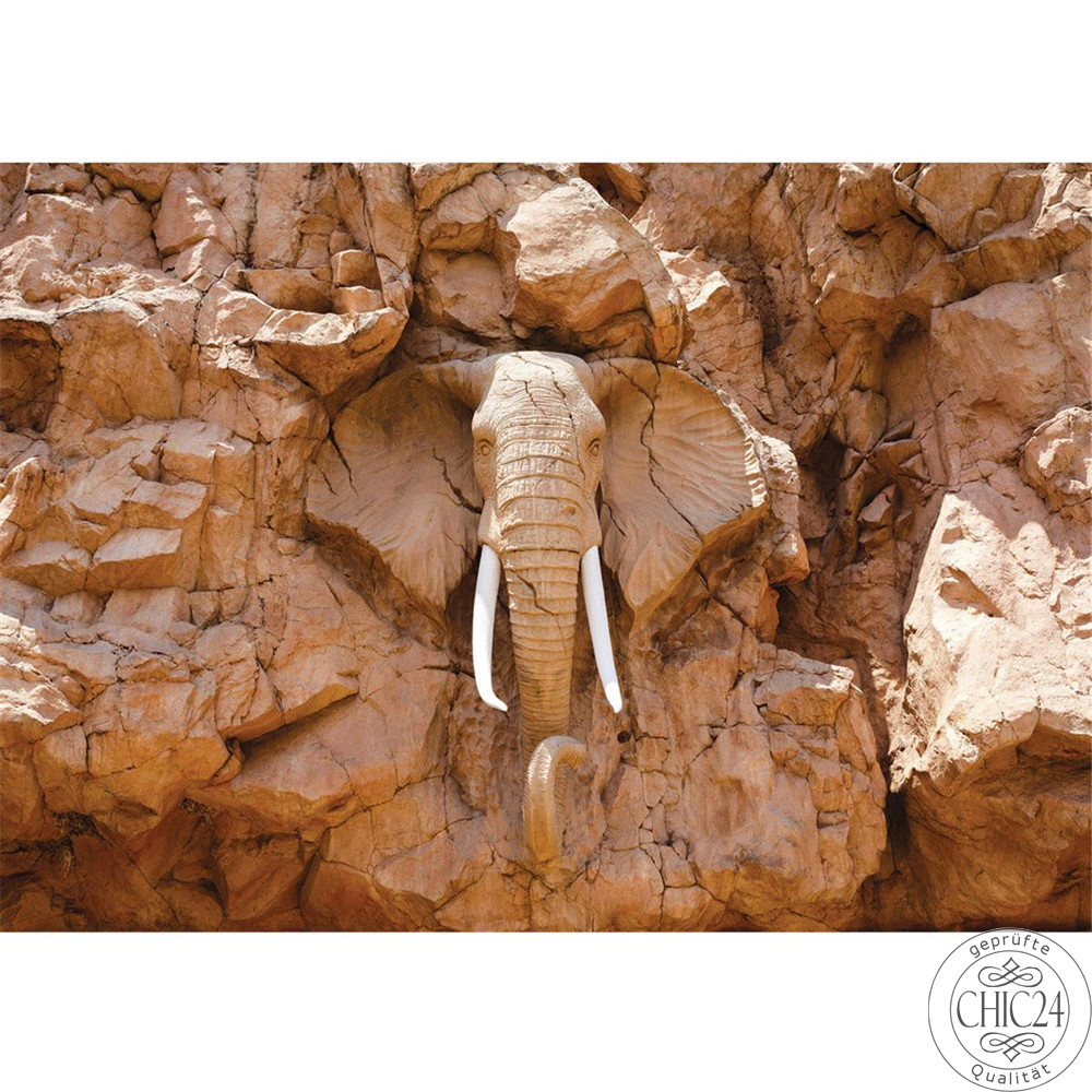 Vlies Fototapete no. 3227 | Afrika Tapete Elephant, Elefant, Steinwand, Elfenbein braun