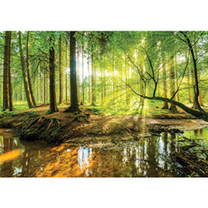 Vlies Fototapete no. 3355 | Wald Tapete Laubwald, Bach, Sonnenaufgang, Frhling natural