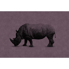 Walls by Patel 110509 rhino 2