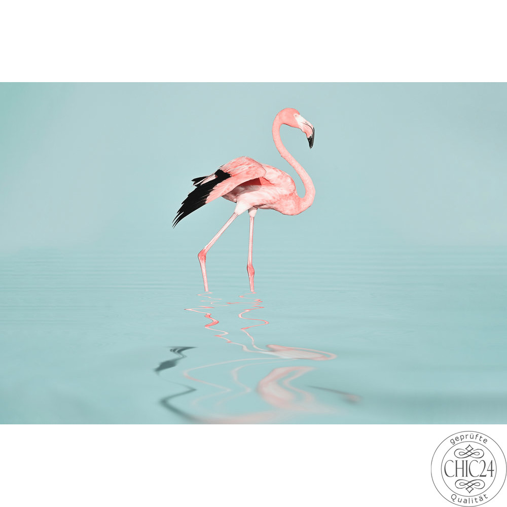 Flamingo Water Art.Nr. 119777