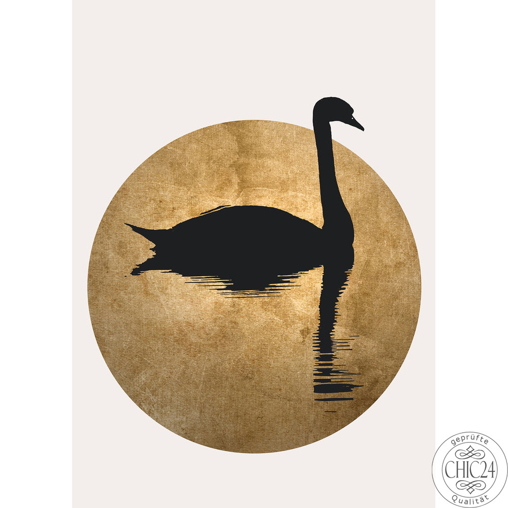 The Swan 2 Art.Nr. 119889