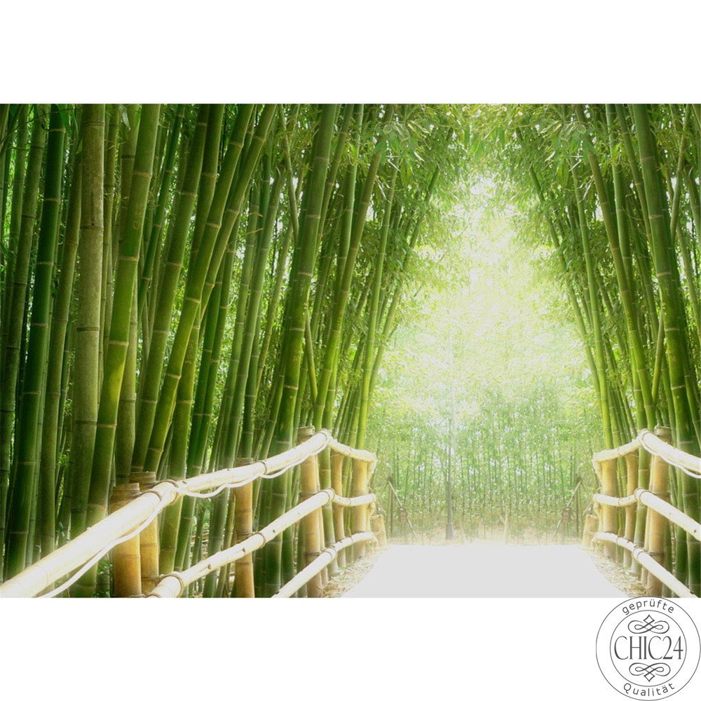 Vlies Fototapete no. 2 | Bamboo Walk Wald Tapete Bambusweg Bambuswald Dschungel Asia Asien Bamboo Way Wald grün