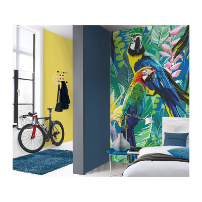 Fototapete Cheeky parrots 2518N-81